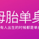 母胎单身中文版,直接玩