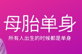 母胎单身中文版,直接玩
